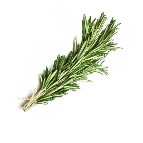 Organic Rosemary